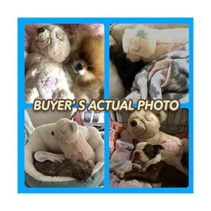 PetPrime Juguete de peluche para perros con bolsa más_2