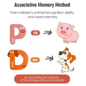 JCREN Letras magnéticas gigantes de animales del alfabeto_3