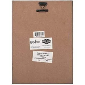 Open Road Brands Harry Potter Sirius Wanted Poster_3