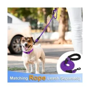 Taglory Collar reflectante ajustable para perro hebilla_4