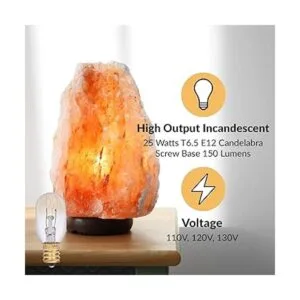 Simba Lighting T6.5 Bombilla de repuesto de 25 W 12