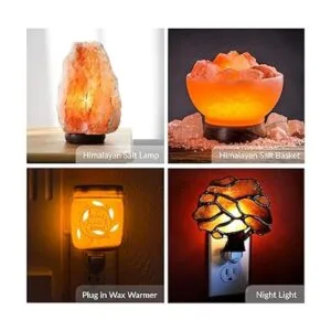 Simba Lighting T6.5 Bombilla de repuesto de 25 W 12