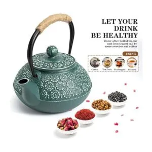 Sotya Tetsubin Tetera de hierro fundido tetera japonesa_4