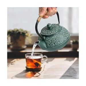 Sotya Tetsubin Tetera de hierro fundido tetera japonesa_6