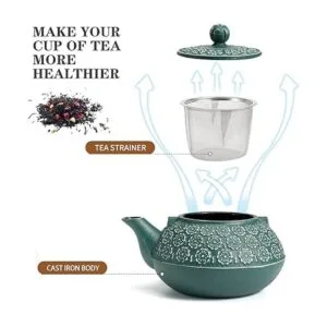 Sotya Tetsubin Tetera de hierro fundido tetera japonesa_2