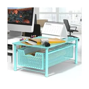 Simple Houseware Organizador apilable de cajones para