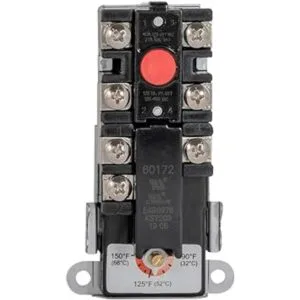 Eastman 60172N Termostato para calentadores de agua_2