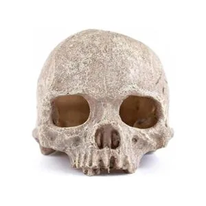 Carefree Fish Aquarium Decoration Skull Fish Tank Head_1