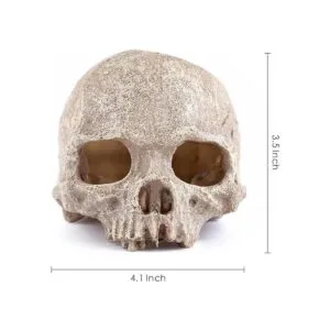 Carefree Fish Aquarium Decoration Skull Fish Tank Head_4