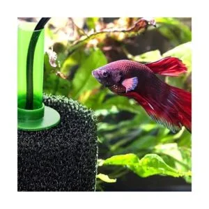 EKUEY Kit de filtración de espuma de prefiltro grande de_6