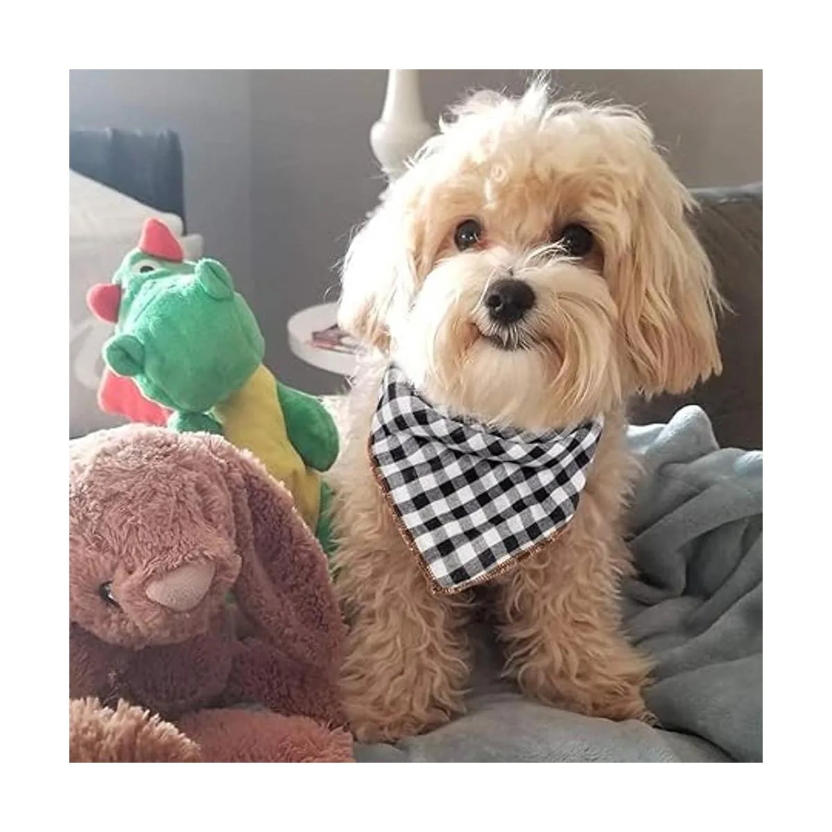 6 bandanas bufandas baberos pañuelos accesorios para