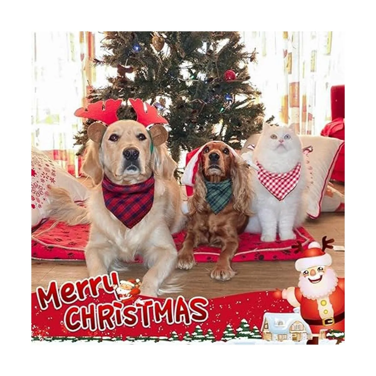 6 bandanas bufandas baberos pañuelos accesorios para