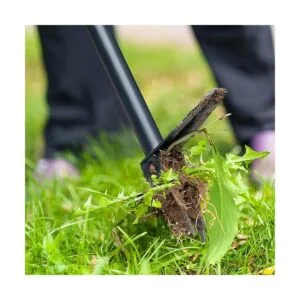 Colwelt Extractor de malas hierbas y malezas herramienta_5