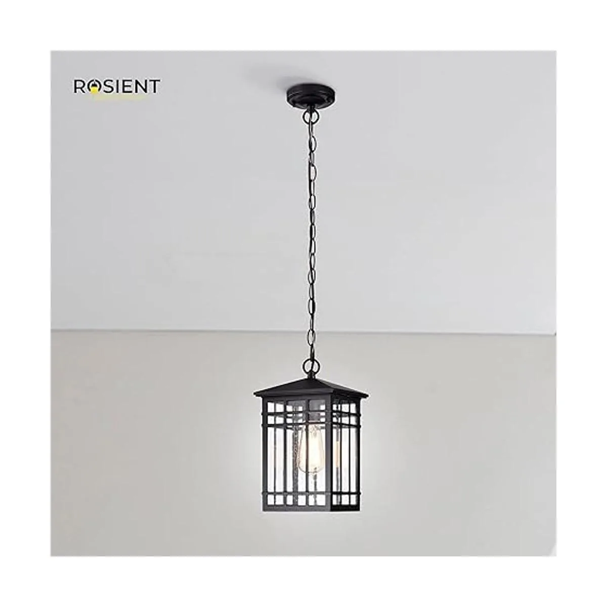 Rosient Iluminación colgante para exteriores linterna_2