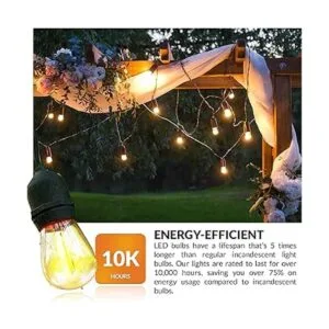 Newhouse Lighting S14LED15P Serie de bombillas LED S14 de