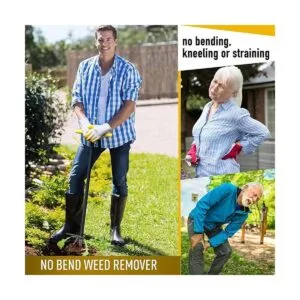 Colwelt Extractor de malas hierbas y malezas herramienta_2