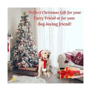 Collar de perro táctico militar K9 Ajustable con asa_2