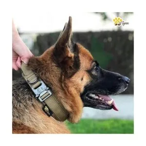 Collar de perro táctico militar K9 Ajustable con asa_5