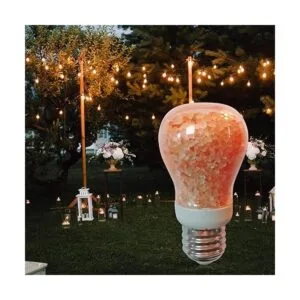 Elvissmart ES1651B2PK E26 Bombilla LED inteligente_4