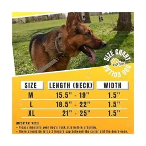 Collar de perro táctico militar K9 Ajustable con asa_3