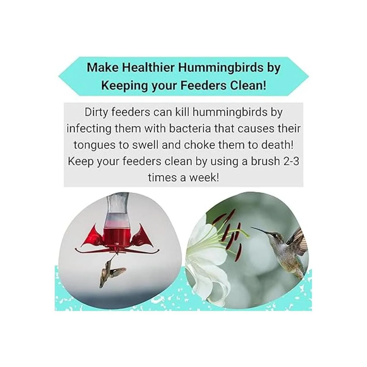 The FryOilSaver Co. Cepillo para comedero de colibrí_3