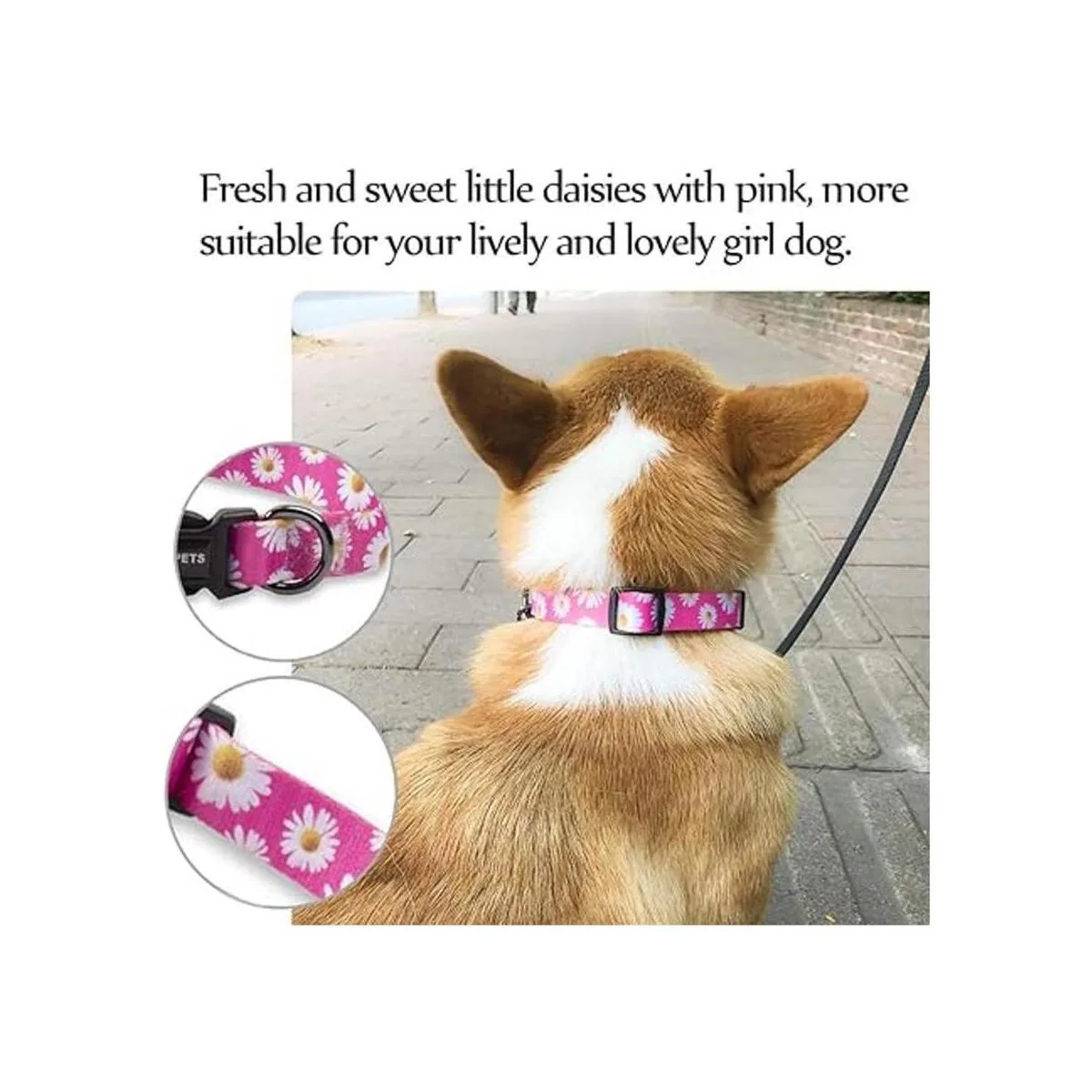 QQPETS Collar suave ajustable para perro Estampado de