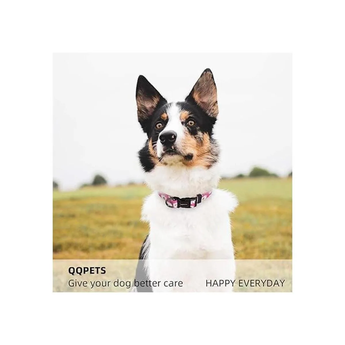 QQPETS Collar suave ajustable para perro Estampado de