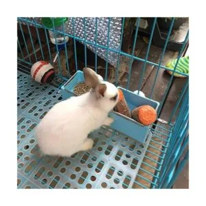 Hamiledyi Juego de 4 alfombrillas para jaula de conejo