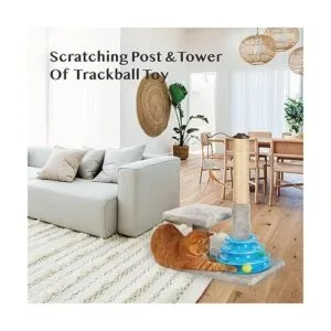 PEEKAB Tall Cat Scratching Post Kitten Sisal Scratcher