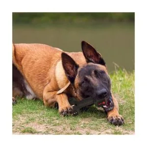 Hswaye Juguetes masticables para perros para masticadores_6