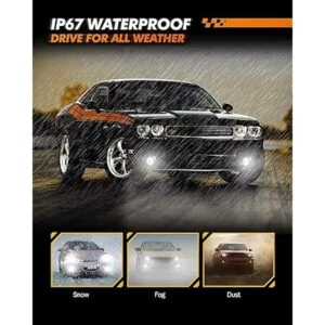 Sealight 5202 Faros antiniebla LED 5000 lúmenes 12 W_6