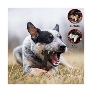 Hswaye Juguetes masticables para perros para masticadores_5