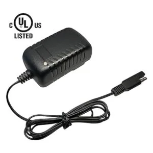 Cargador de batería de 6 voltios para niños para Pacific_5