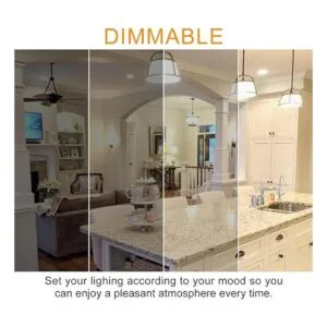 Bombillas LED BR25R25 luces de inundación regulables de_3