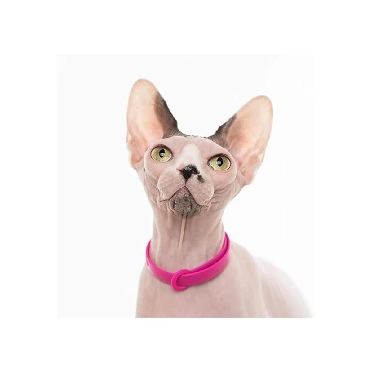 Nuvuq Collar de gato cómodo suave y ligero con botón a_4