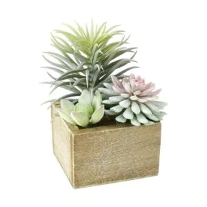 Mingfuxin Plantas suculentas artificiales mini suculentas_5