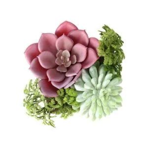 Mingfuxin Plantas suculentas artificiales mini suculentas_6