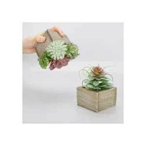 Mingfuxin Plantas suculentas artificiales mini suculentas_4