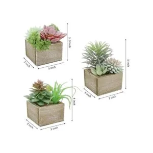 Mingfuxin Plantas suculentas artificiales mini suculentas_3