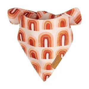 RemyRoo Bandanas para perro 4 unidades set Rubi tela_6