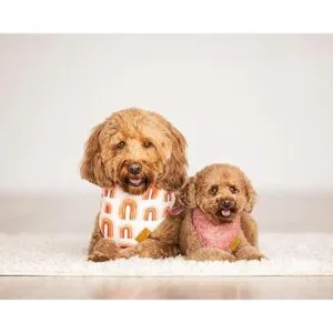 RemyRoo Bandanas para perro 4 unidades set Rubi tela_2