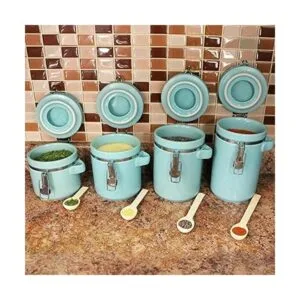 Blue Donuts Juego de 4 botes de cerámica hermética para_6