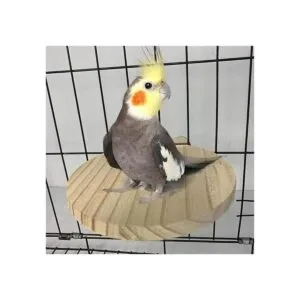 Hamiledyi Soporte para hámster de madera natural para