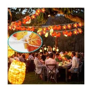 Alambre para colgar fotos recubierto de vinilo 4 alambre