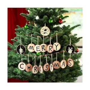 Juego de 20 piezas de posavasos de madera natural sin