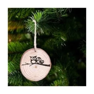 Juego de 20 piezas de posavasos de madera natural sin