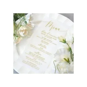 Papel de vitela transparente 100 hojas de papel