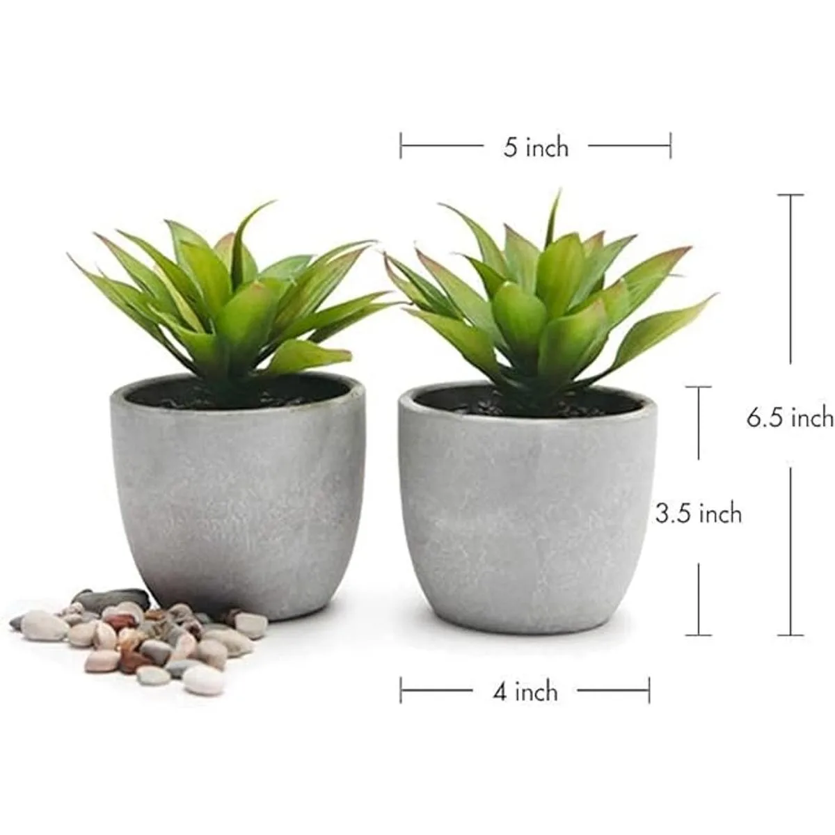 Kurrajong Farmhouse Plantas falsas Juego de dos_2