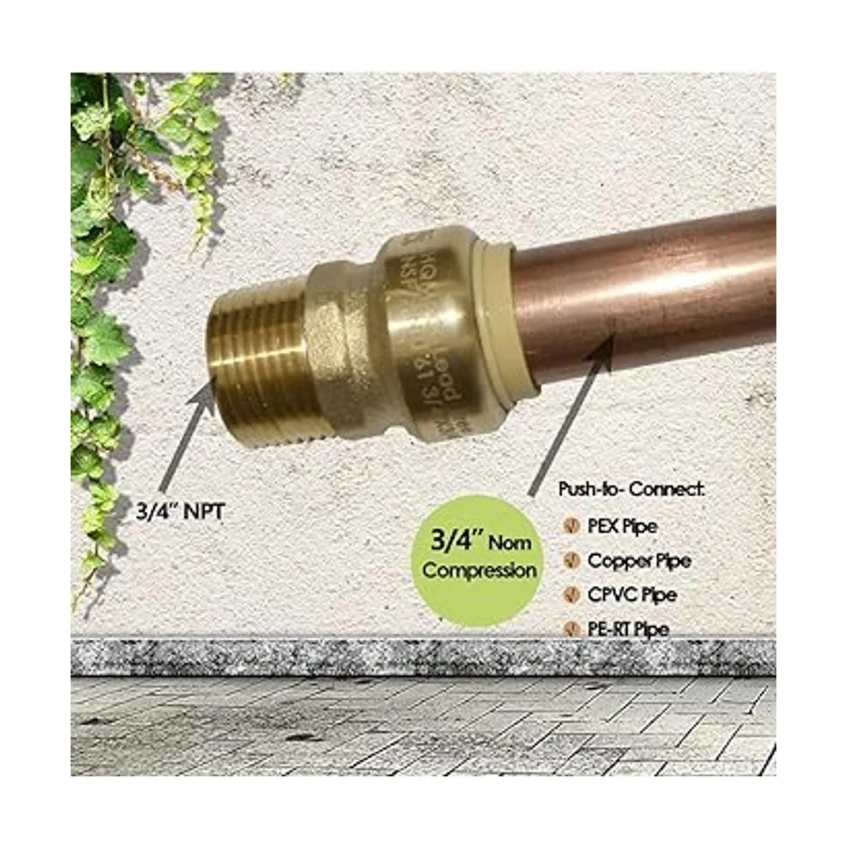 HQMPC Pex Fittings Acoplamiento recto de 34 pulgadas con_2