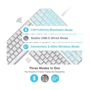 RK ROYAL KLUDGE RK61 Teclado mecánico inalámbrico 60_2